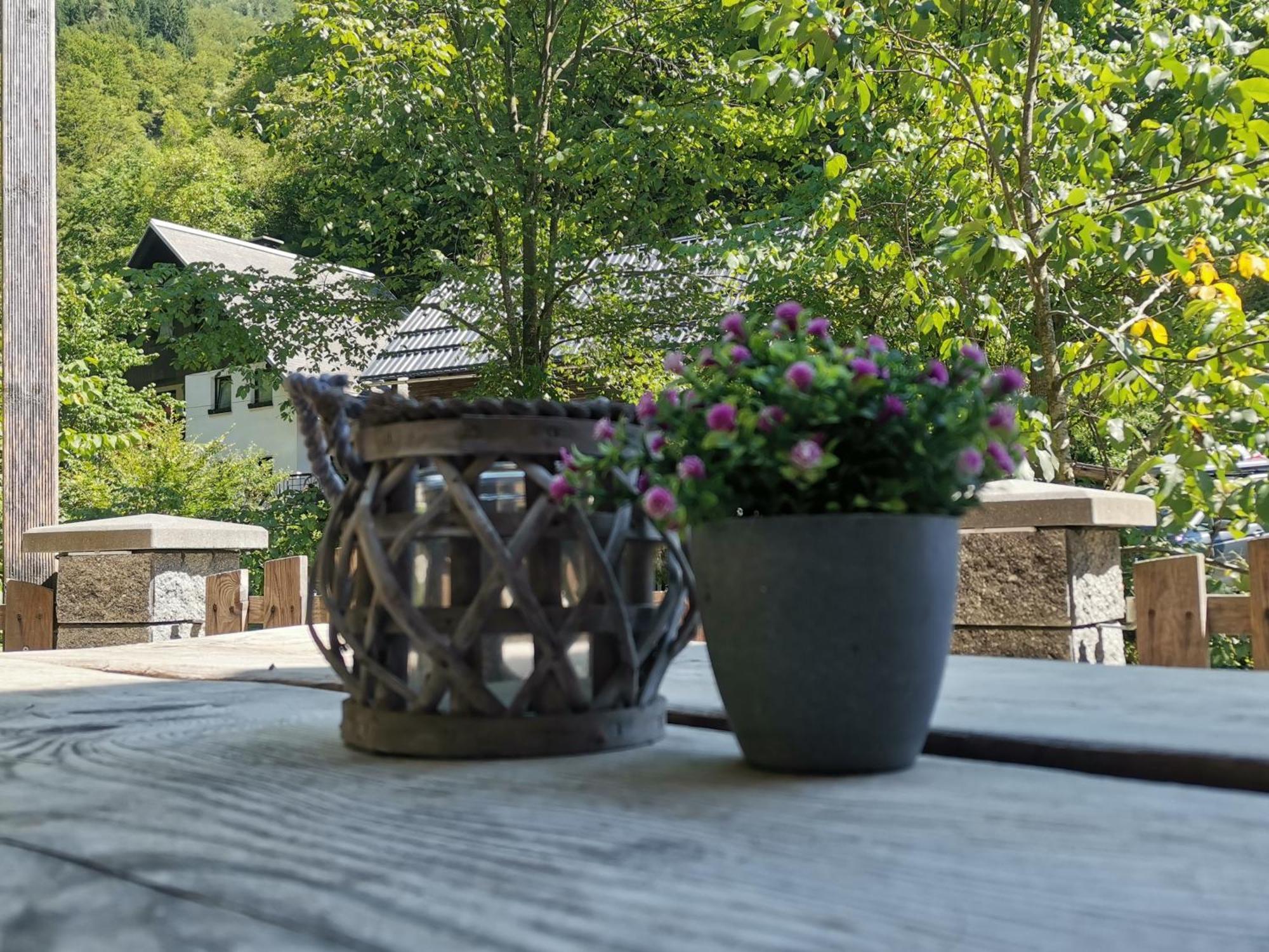 Apartma Bohinj Bagian luar foto